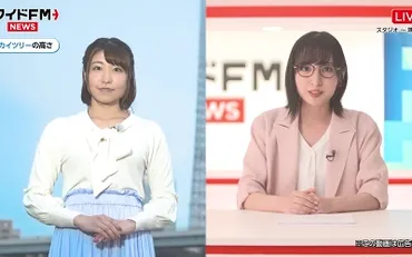 佐倉綾音、緒方佑奈】ワイド周知広報動画に出演声優メモ帳