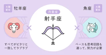 運命の羅針盤：月星座と12星座が導く恋愛と運勢とは？月星座、12星座別運勢、恋愛の羅針盤