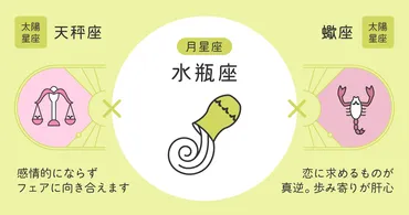 月星座・水瓶座の性格