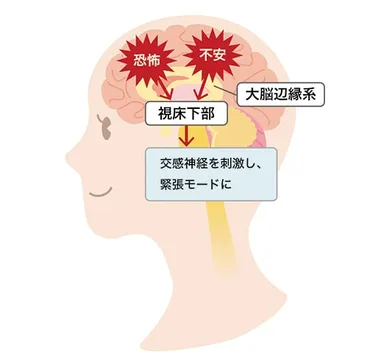 ハグにはストレス解消効果がある!幸福感を高めるやり方・コツや注意点を解説